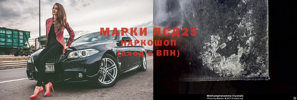 ГАЛЛЮЦИНОГЕННЫЕ ГРИБЫ Богданович