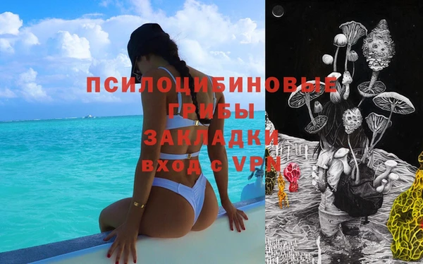 ГАЛЛЮЦИНОГЕННЫЕ ГРИБЫ Богданович