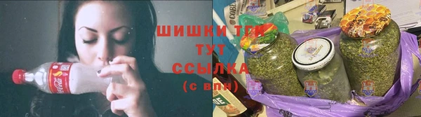 тгк Богородск