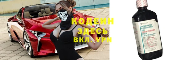 ГАЛЛЮЦИНОГЕННЫЕ ГРИБЫ Богданович