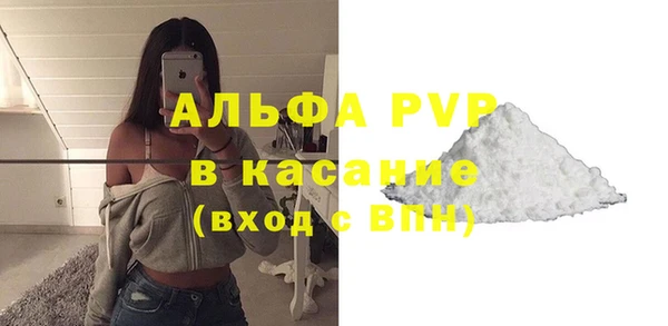 ГАЛЛЮЦИНОГЕННЫЕ ГРИБЫ Богданович