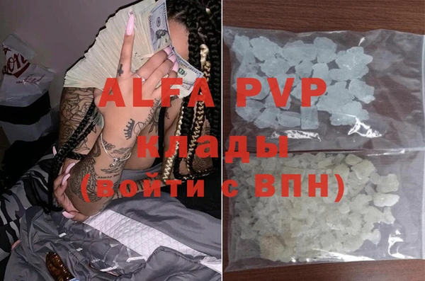 ГАЛЛЮЦИНОГЕННЫЕ ГРИБЫ Богданович