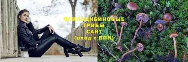 круглые Богородицк