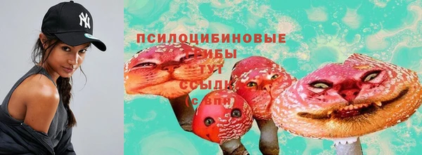 ГАЛЛЮЦИНОГЕННЫЕ ГРИБЫ Богданович
