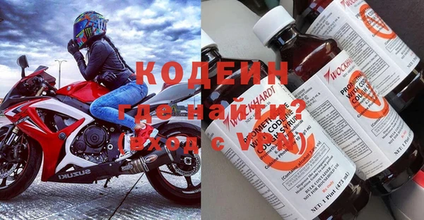 ГАЛЛЮЦИНОГЕННЫЕ ГРИБЫ Богданович