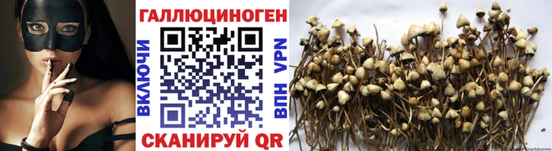 Псилоцибиновые грибы Magic Shrooms  закладки  Киров 